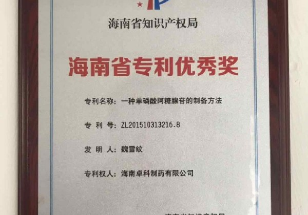 海南省優(yōu)秀專利獎